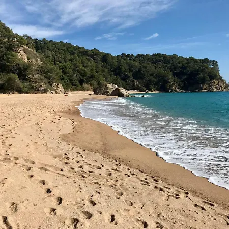 Luxury Vista Del Mar
